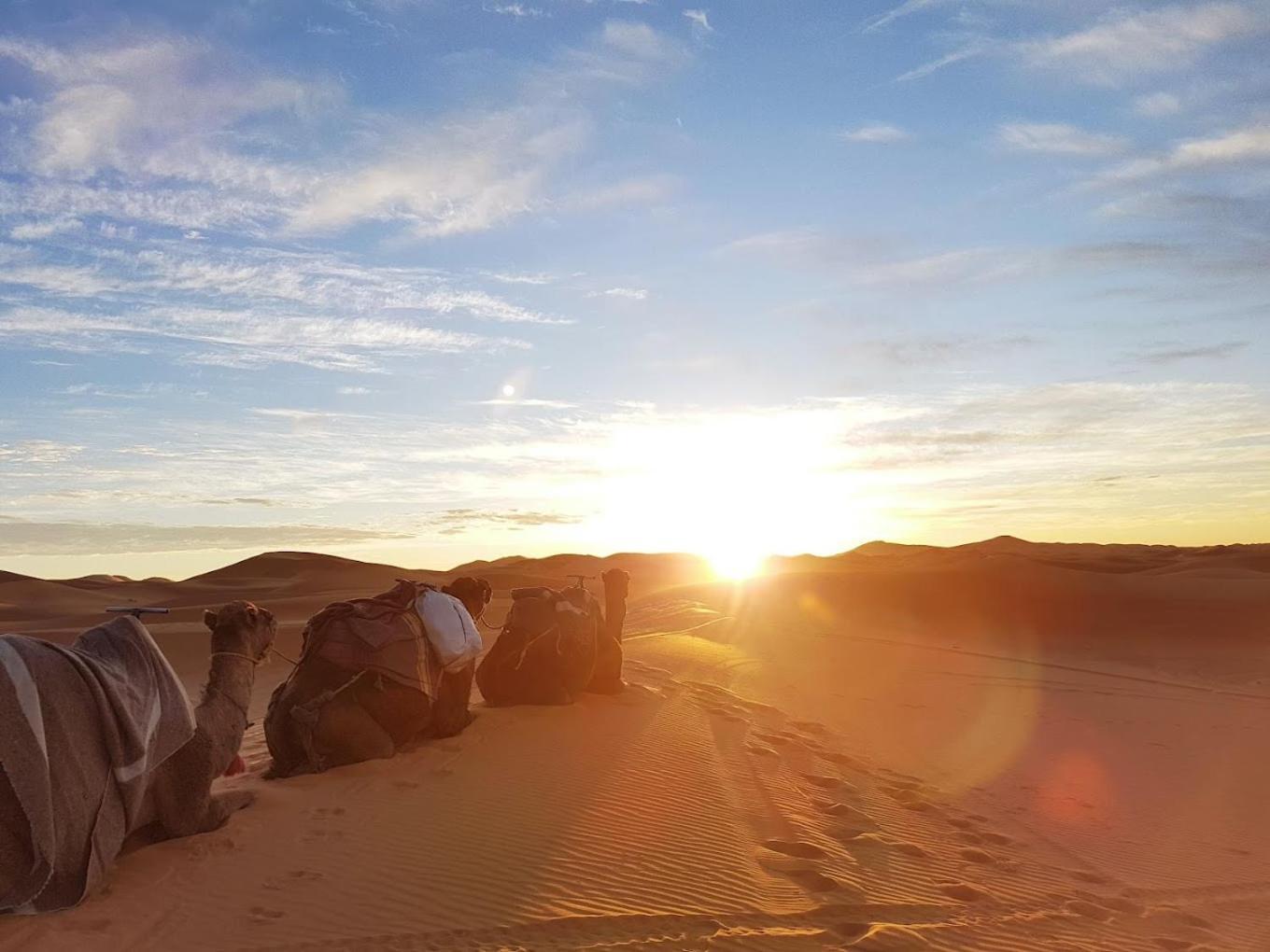 Les Roches Desert Camp Мерзуга Екстер'єр фото